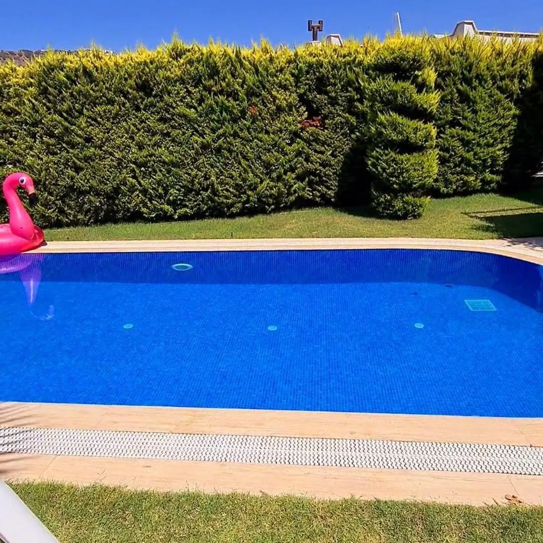 Bodrum Sea View Flower Villa 0*,  Turcia