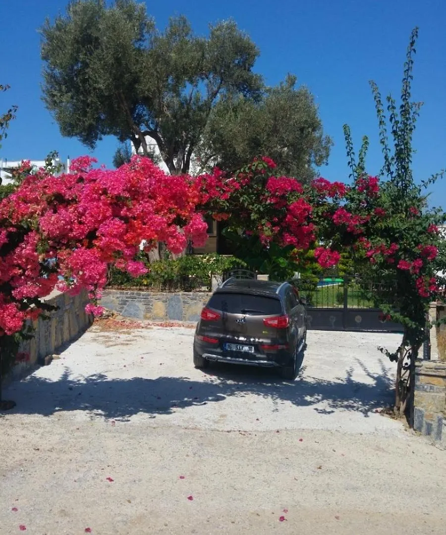 Bodrum Sea View Flower Villa
