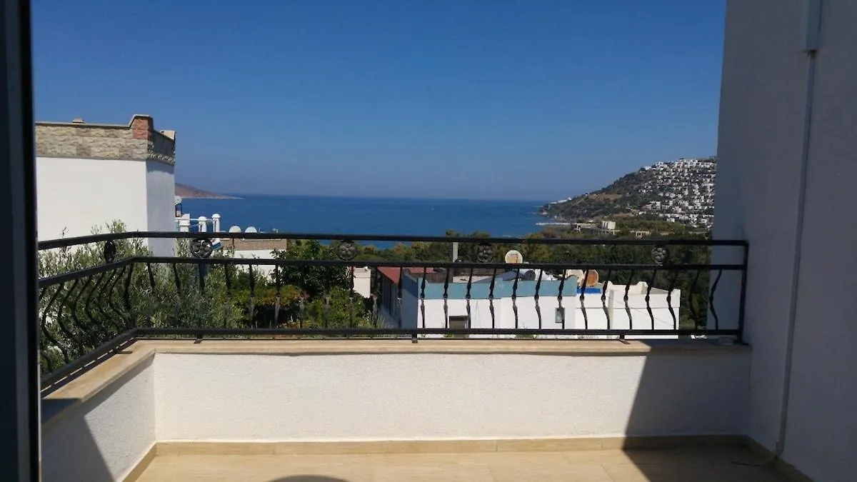 Bodrum Sea View Flower Villa Turchia