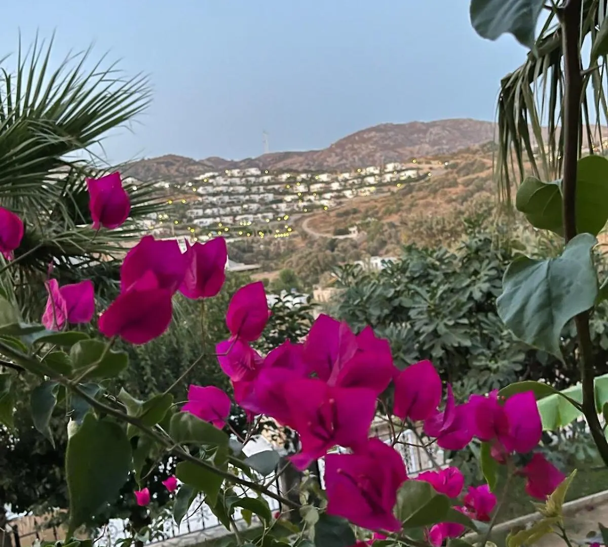 Bodrum Sea View Flower Villa